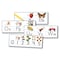 Carson Dellosa Traditional Manuscript Alphabet w/Photographs, Grade PK-2, 11 Pieces 3429 - alternate 1